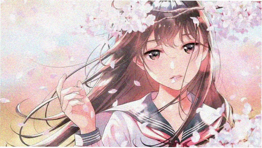 双生新番